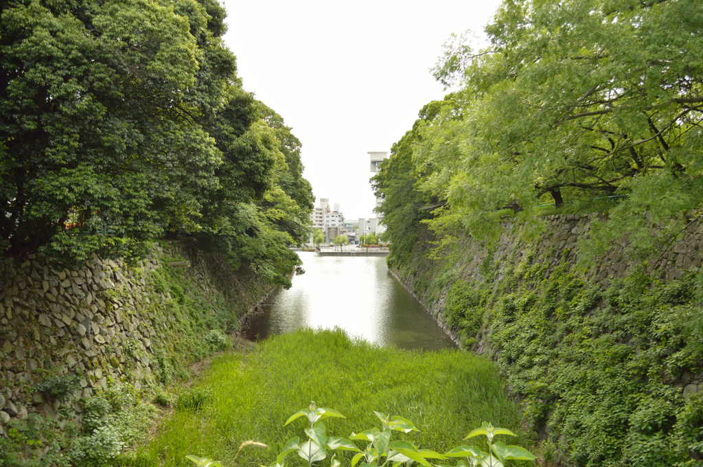 名古屋城 外堀