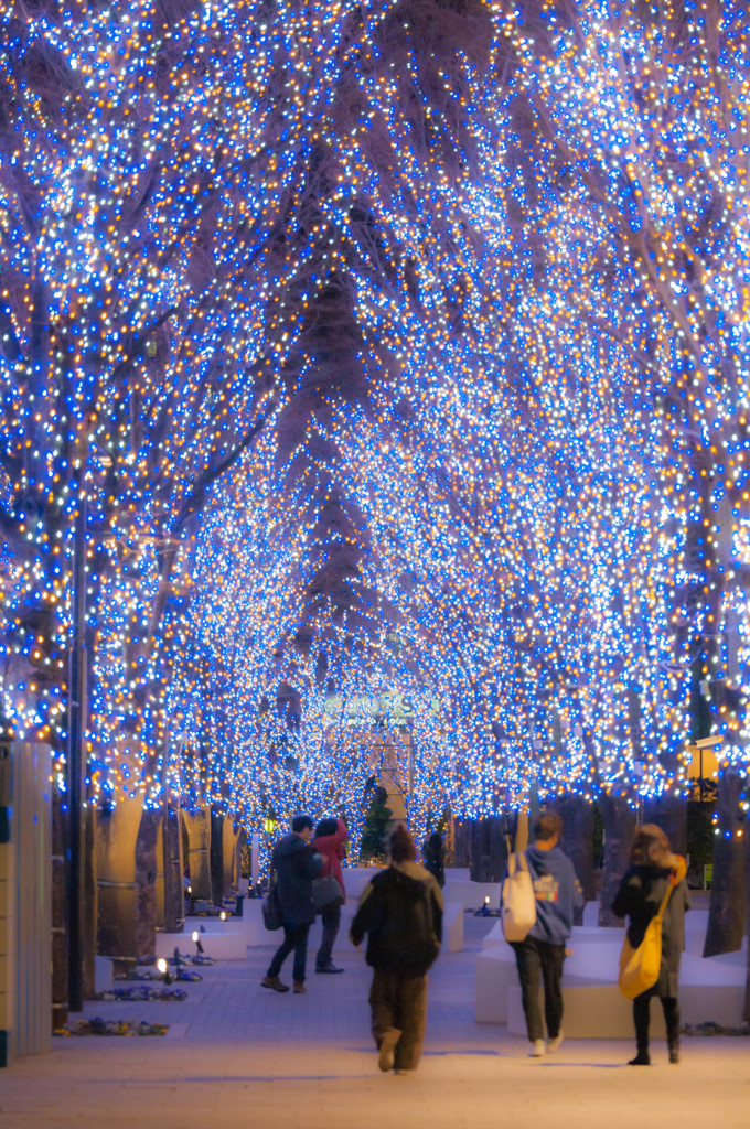 ヨコハマイルミネーション