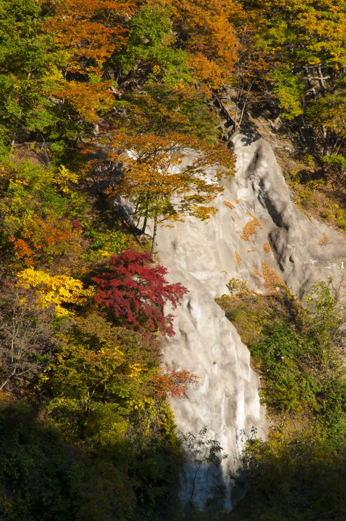 岩肌に