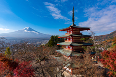 秋の新倉山浅間公園