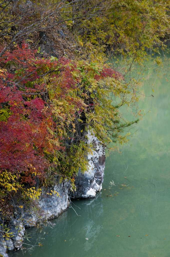 湖畔の紅葉