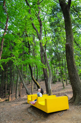 目に青葉・・・