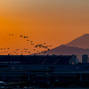 夕暮れの羽田空港