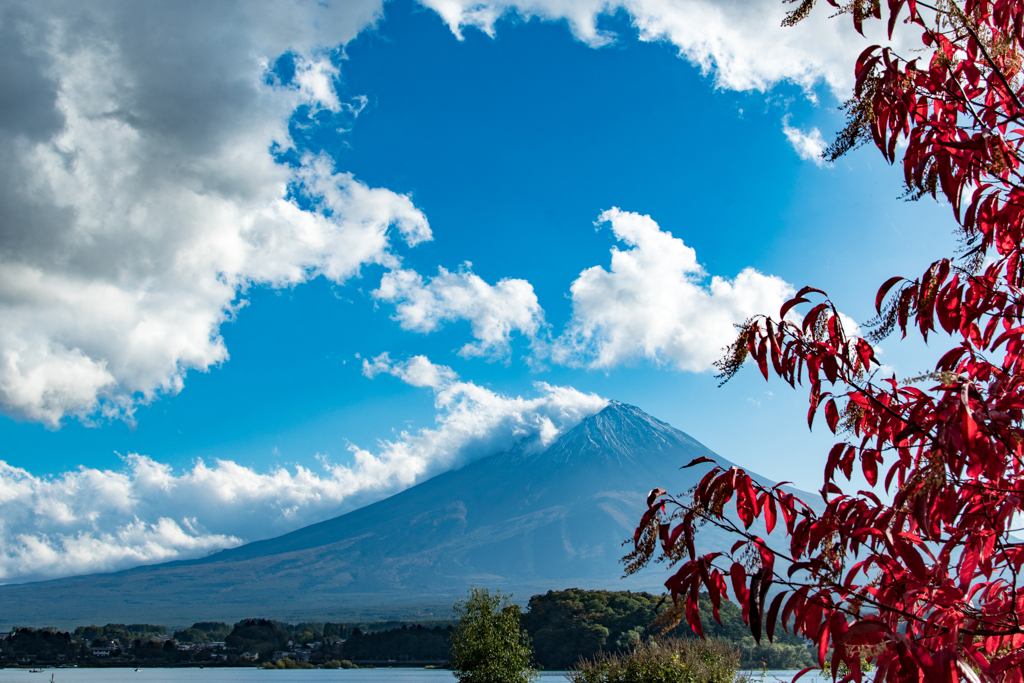 紅葉と富士