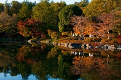 日本庭園の秋