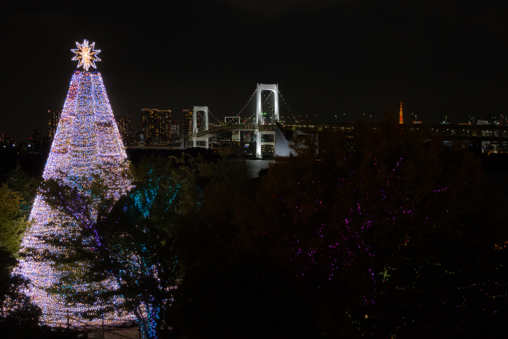 お台場夜のお写んぽ①