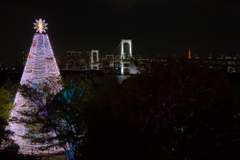 お台場夜のお写んぽ①