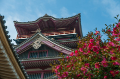 伏見桃山城（2）