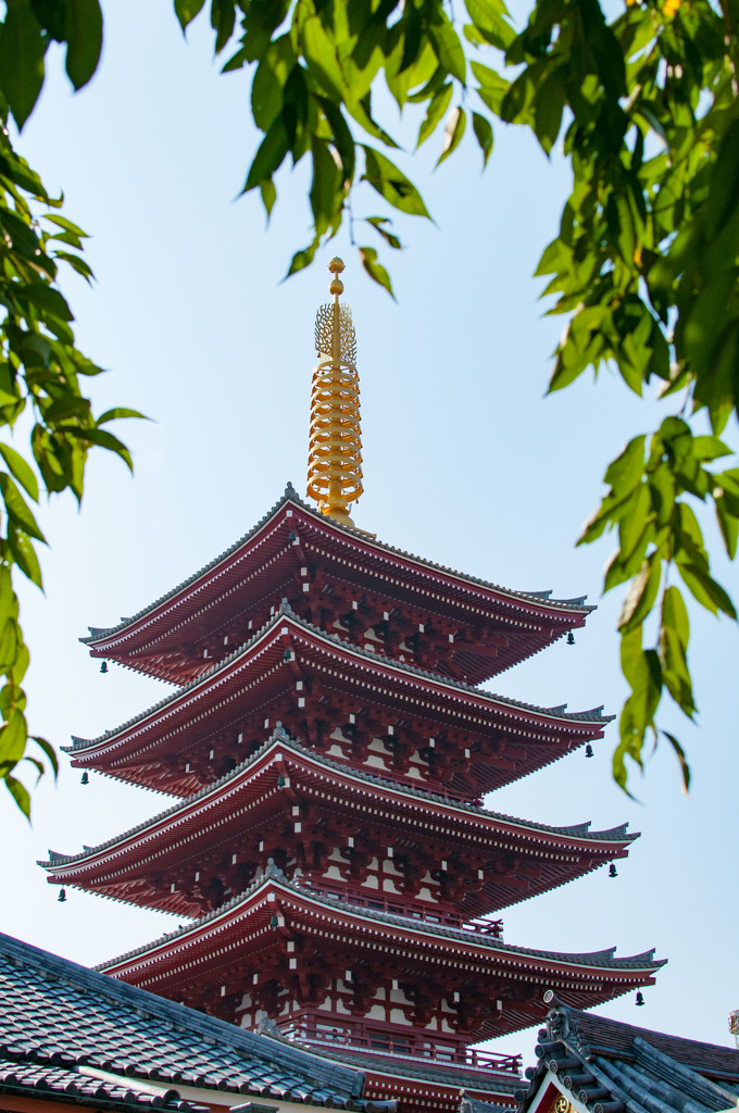 浅草スナップ２