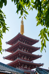 浅草スナップ２