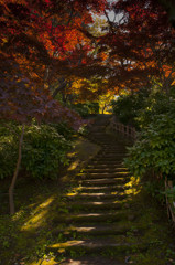 秋道