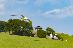 低空飛行