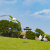 低空飛行