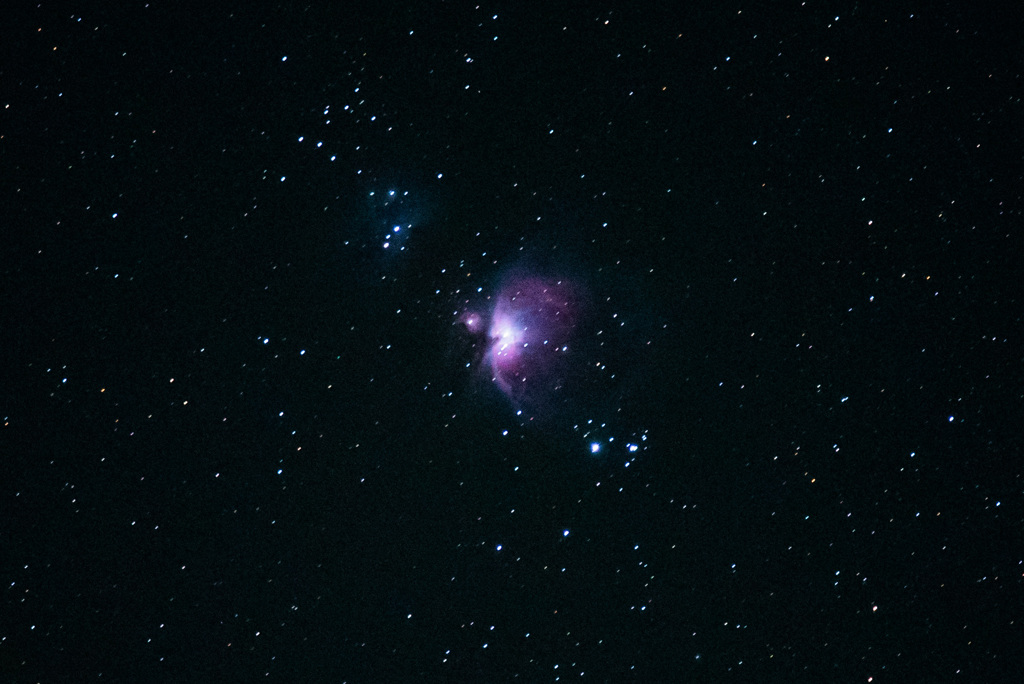 ふもとっぱらからのオリオン大星雲