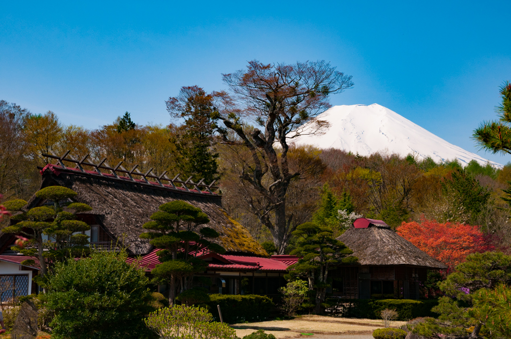 富士山@忍野2