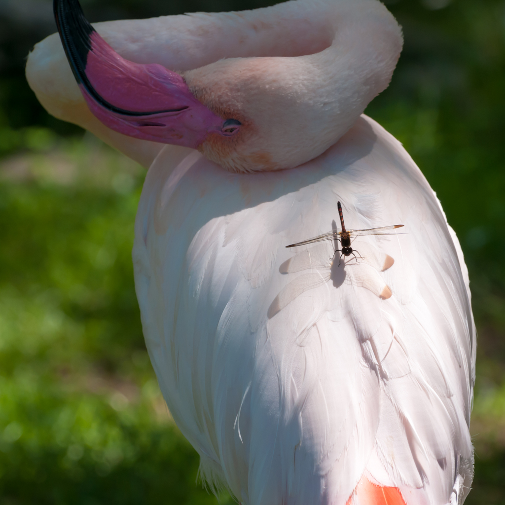 かゆいんですけど・・・