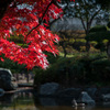 庭園