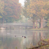 朝霧に煙るいつもの公園①