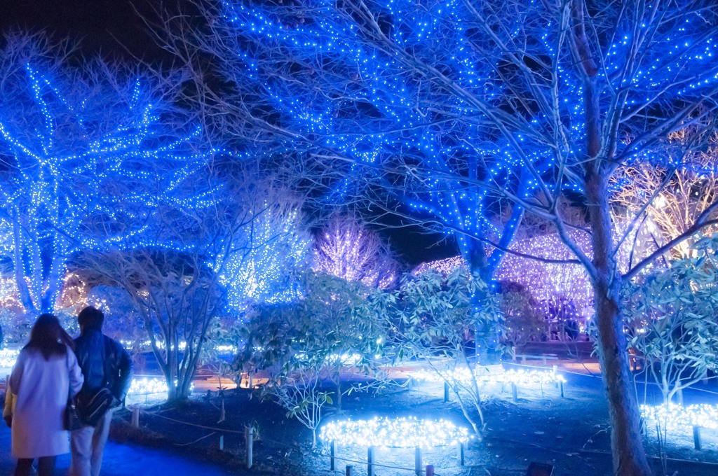 恋人たちの世界