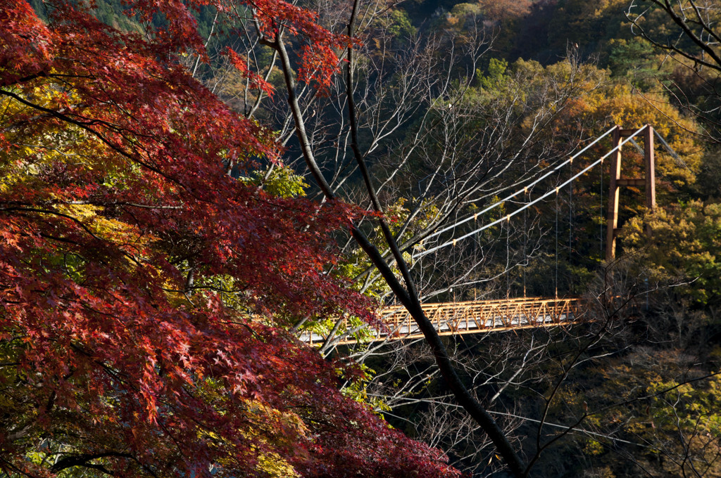 吊り橋