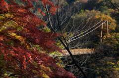 吊り橋