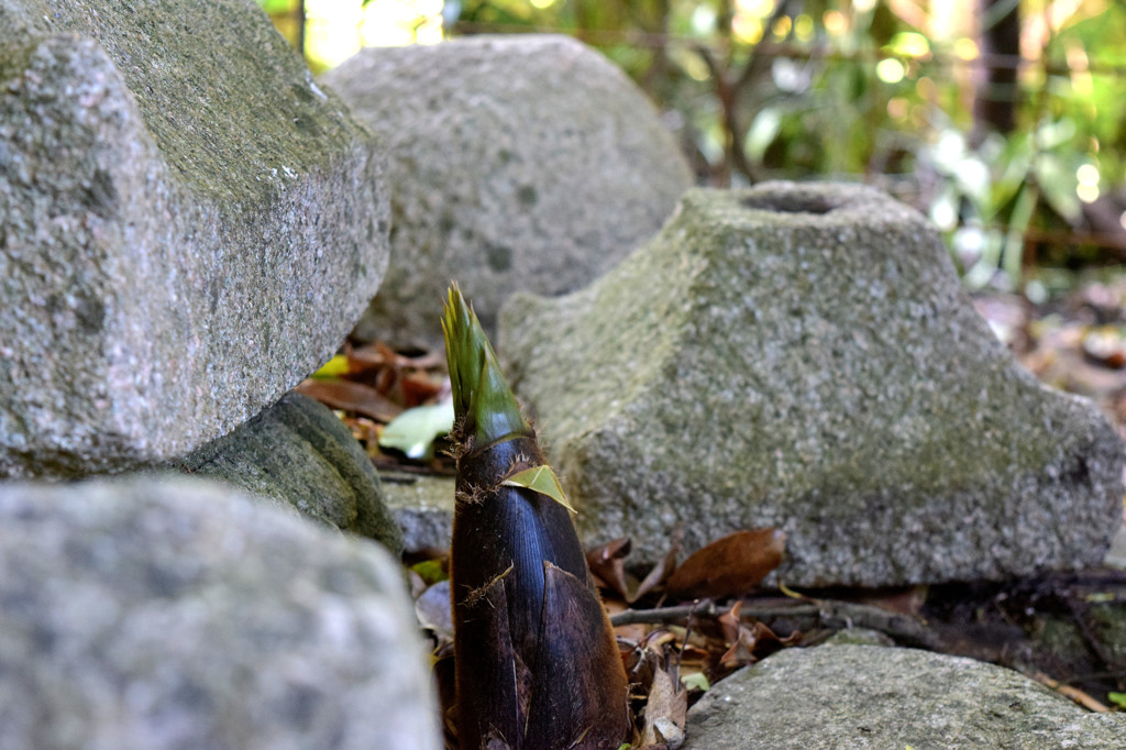 ここは、あかん・・・