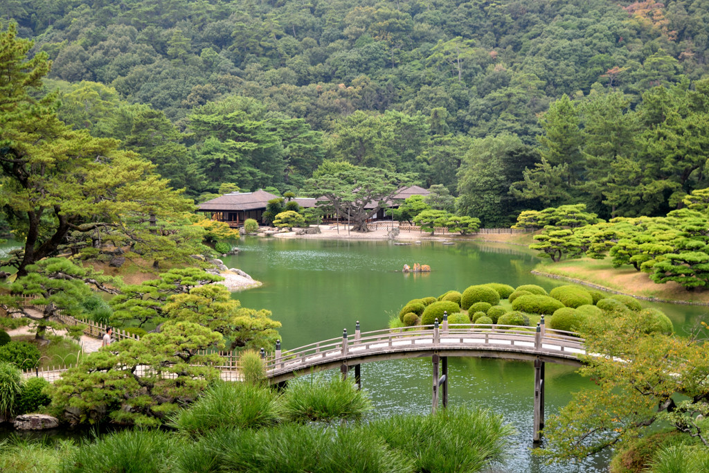 栗林の夏