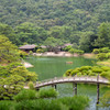 栗林の夏