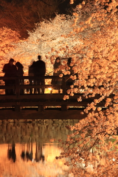 桜橋