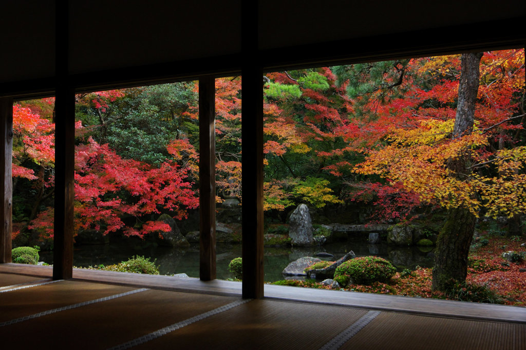 紅葉の蓮華寺庭園