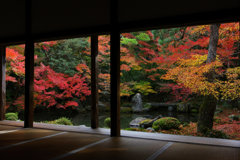 紅葉の蓮華寺庭園