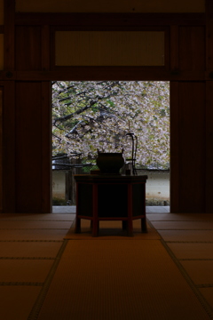 名残りの桜