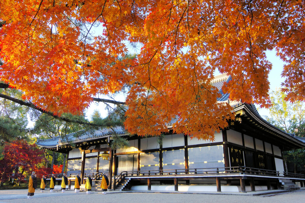 お坊さんと紅葉