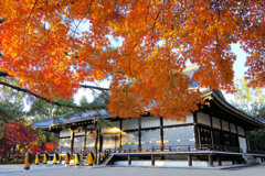 お坊さんと紅葉