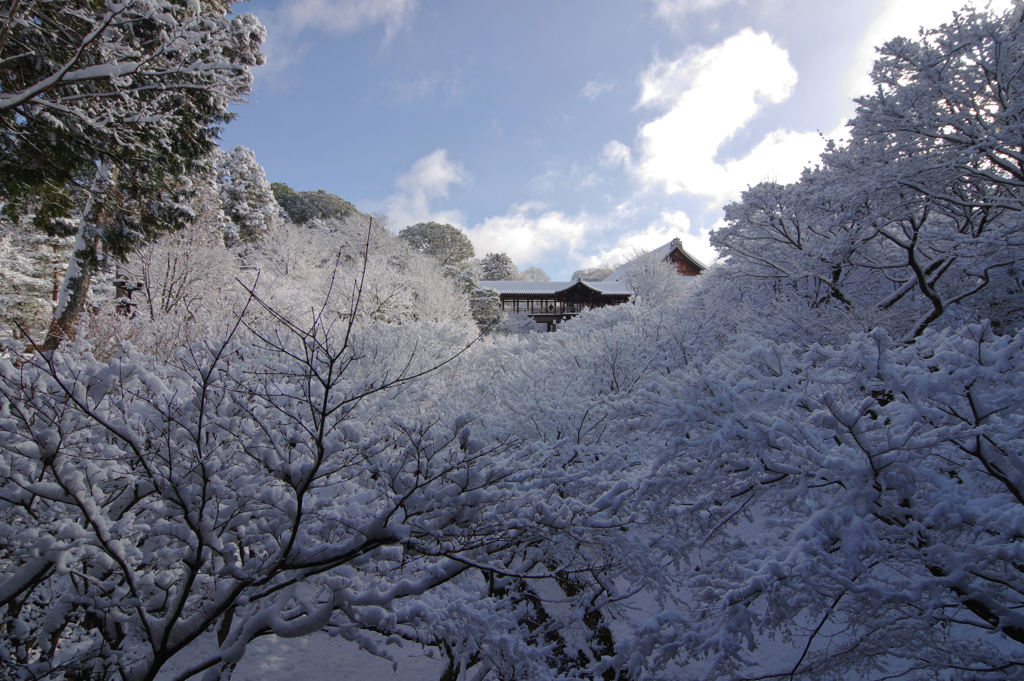 雪と通天橋