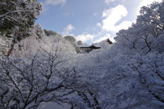 雪と通天橋
