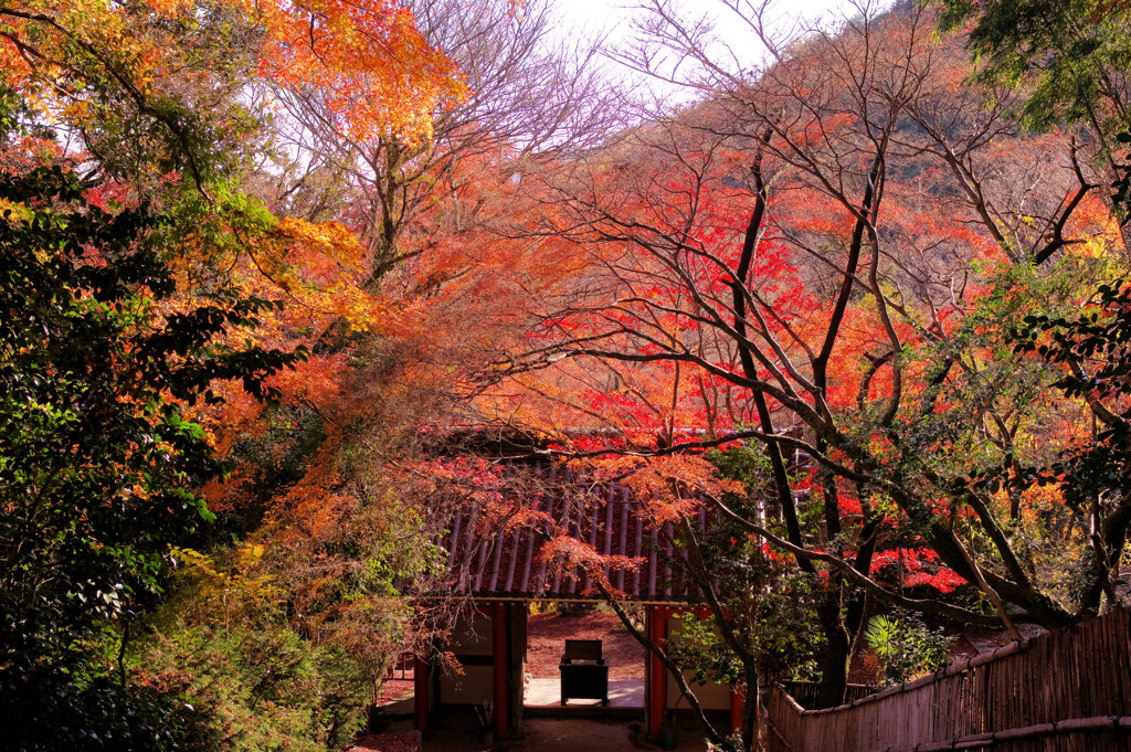 晩秋の山寺