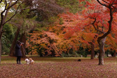 名残りの紅葉