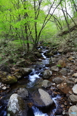 山の中のある風景