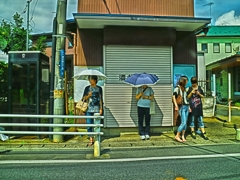 やっと梅雨明け