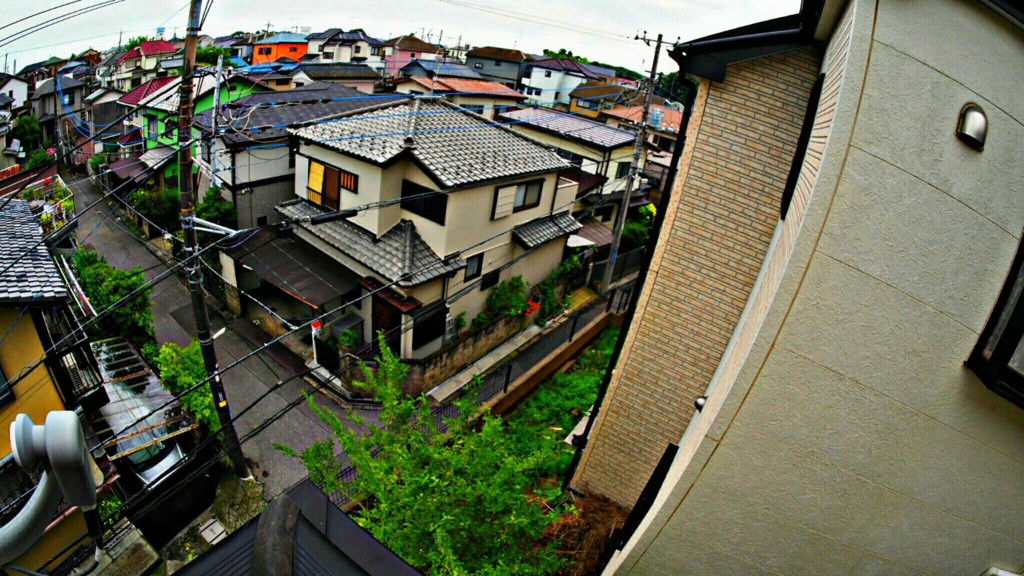 雨上がりの屋根
