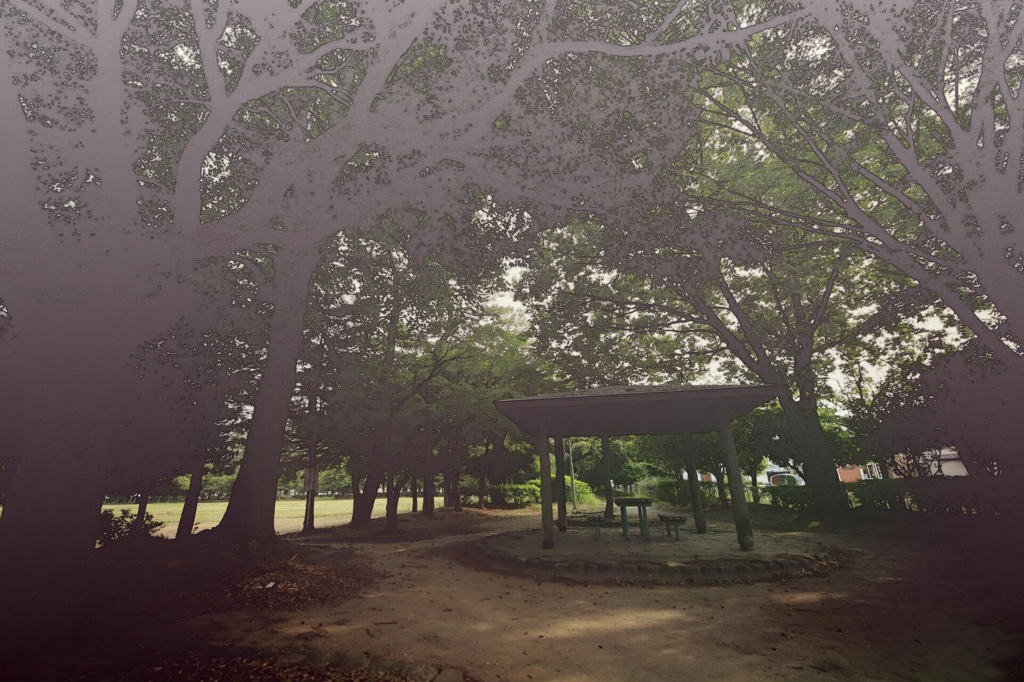 真昼の公園