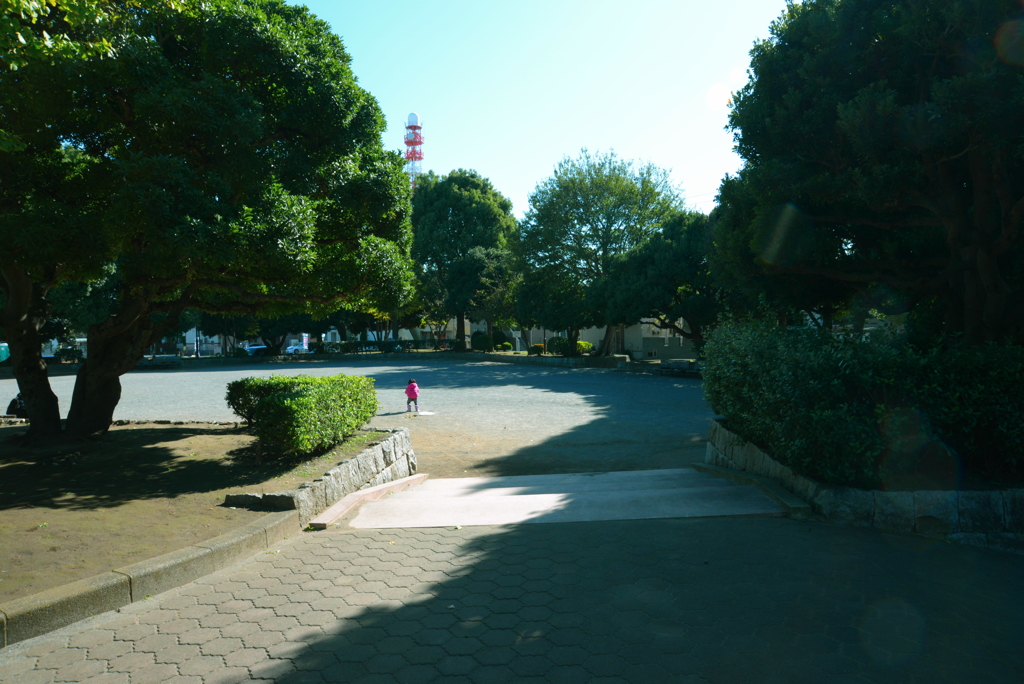 緑の公園ひとりぼっち