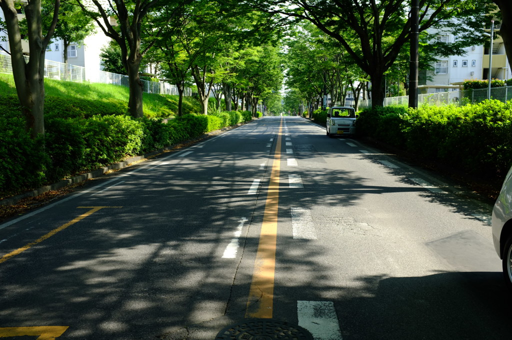 緑の中へどうぞ