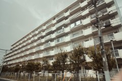 レトロ団地