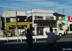 陰とひと