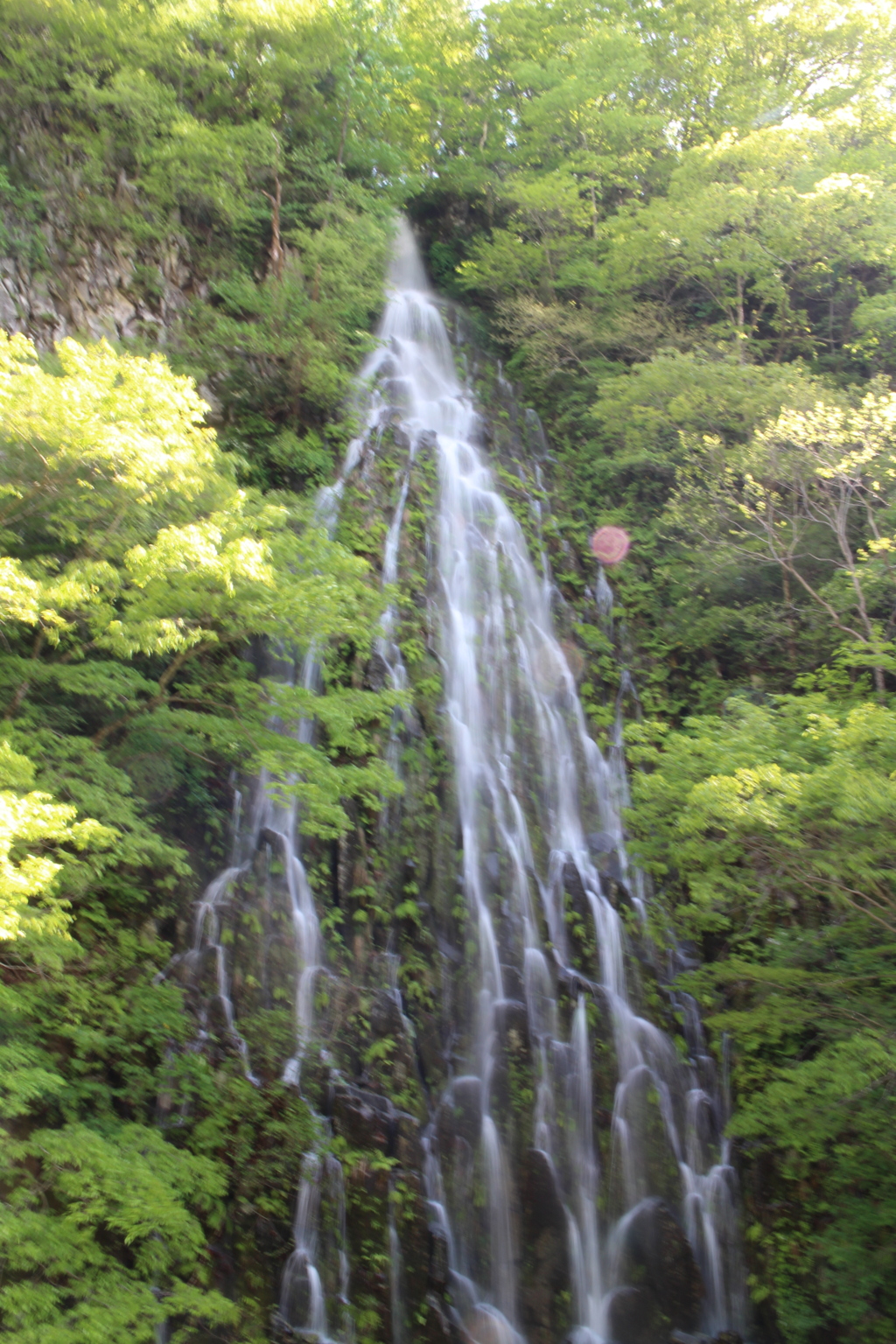 自然のちから
