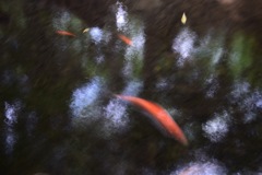 恋