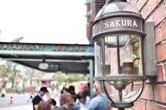  disney sea