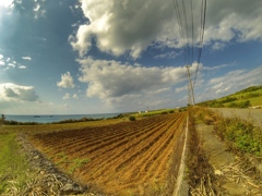 風の通り道